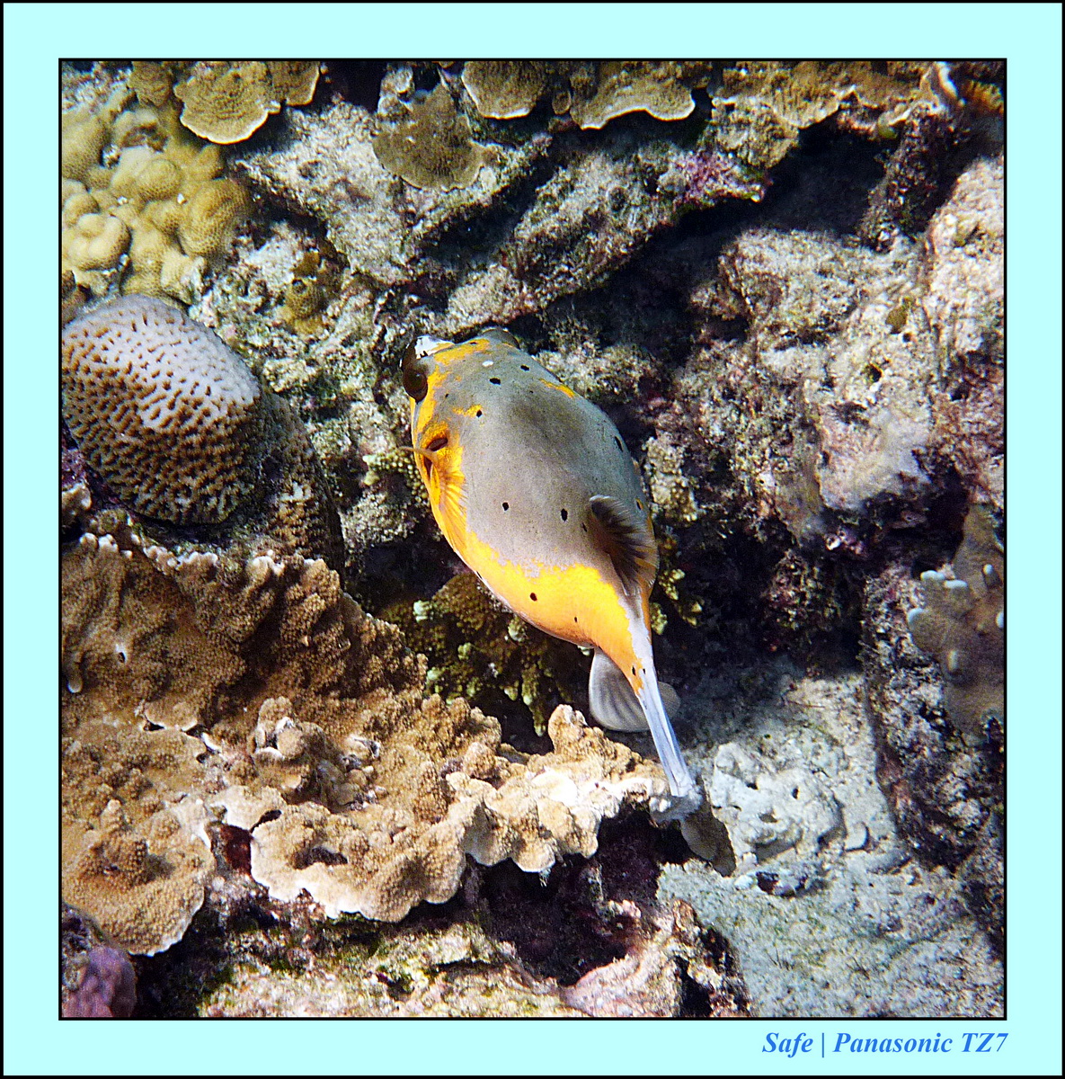 2012 - 07 - Gili - 60